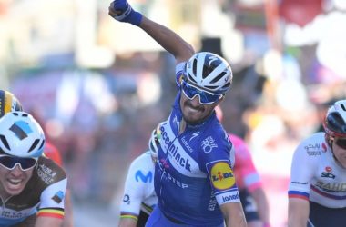 Julian Alaphilippe - Vainqueur Milan-Sanremo 2019 - RCS Sport La Presse D'Alberto-Ferrari