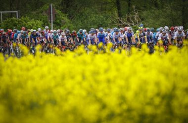 Peloton 3 étape Tour d'Italie Giro 2022 - RCS Sport La Presse Fabio Ferrari