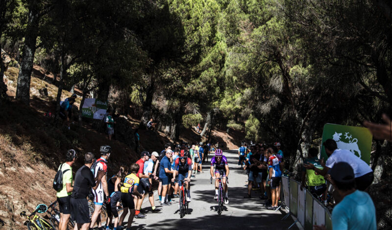 Dans la montée du Monastère de Tentudia, sur la 17e étape du Tour d’Espagne 2022 - Photo : ASO/Unipublic/Charly Lopez