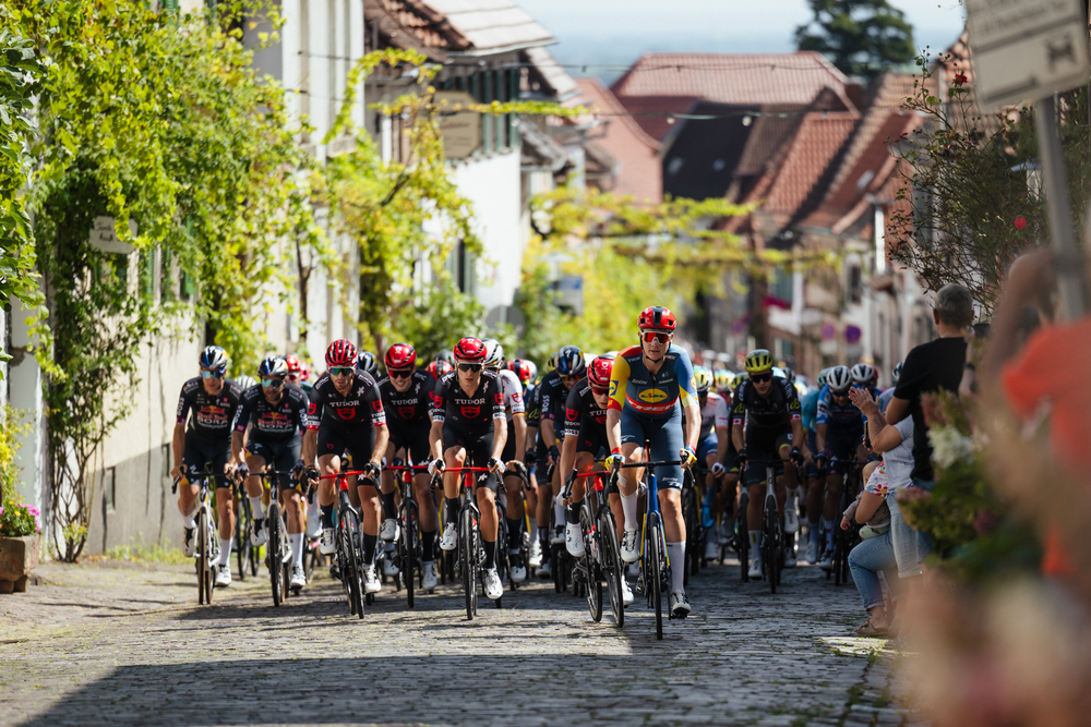 Le peloton lors de la 4e étape du Tour d'Allemagne 2024 - Photo : ASO/GFR/Marcel Hilger